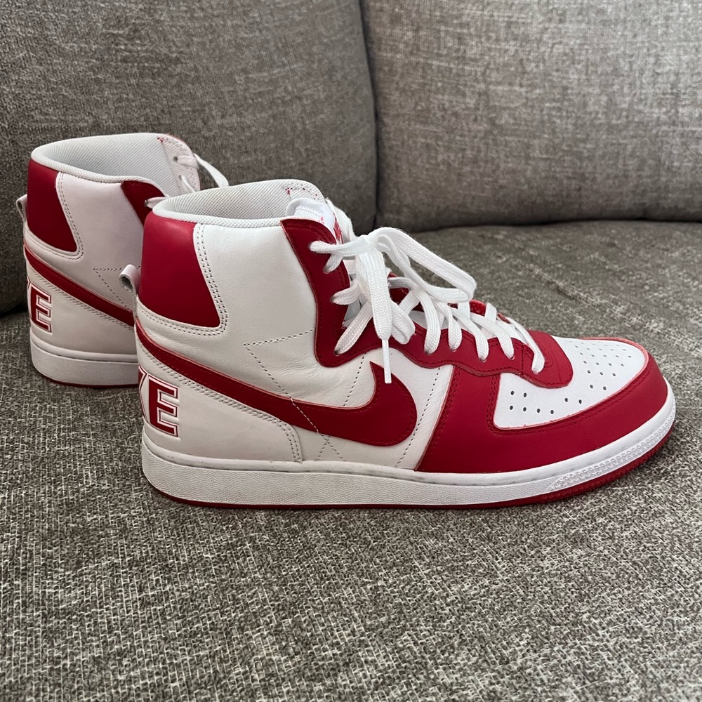 Nike Terminator high tops